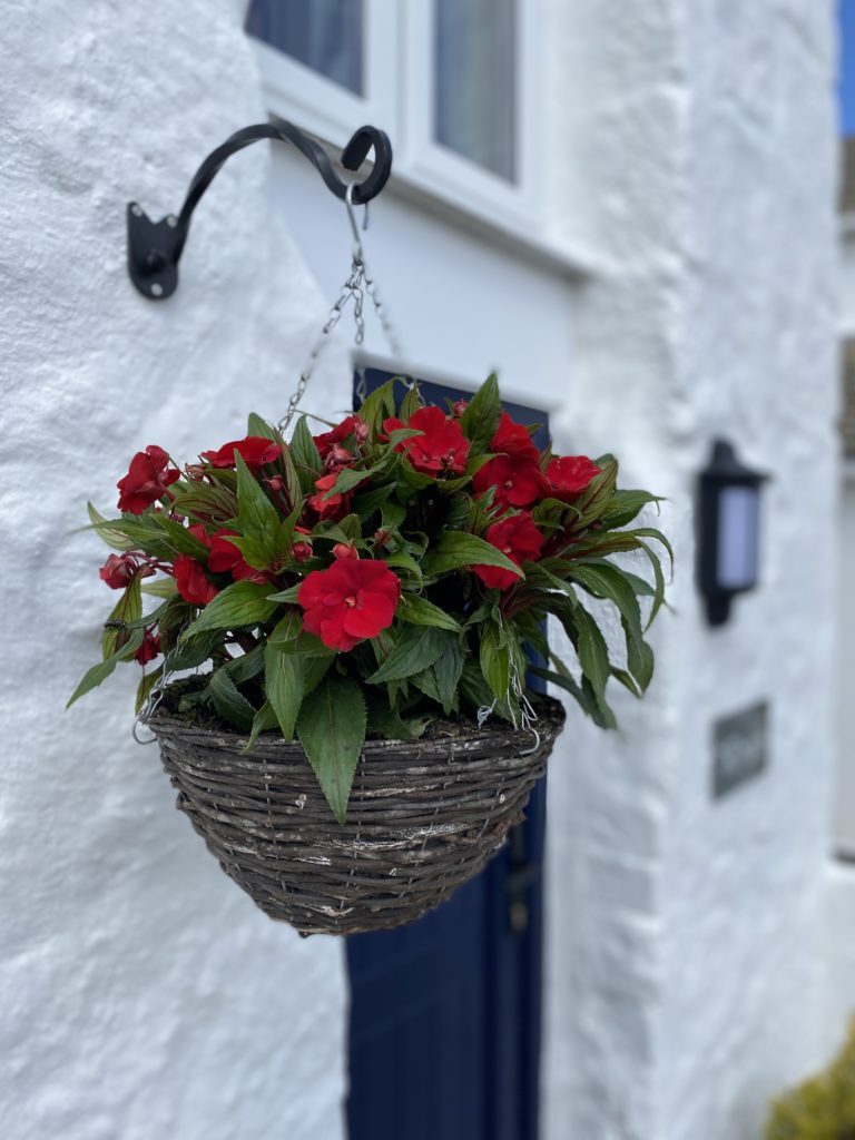 Hanging basket with bright red impatien flowers outside of the Pigsty